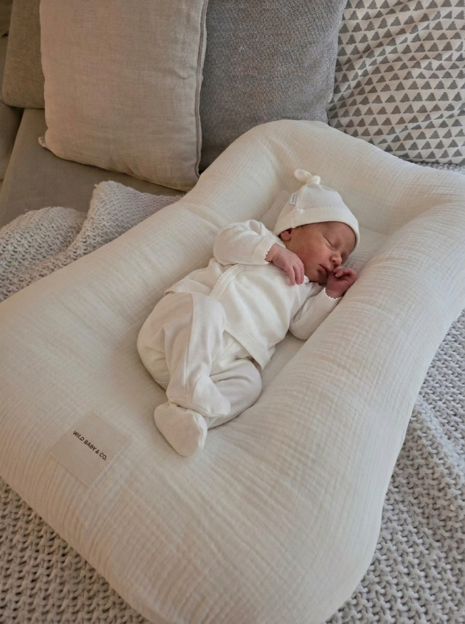 almohadon_nido_regalos_de_naciemiento_contención_wild_baby_co