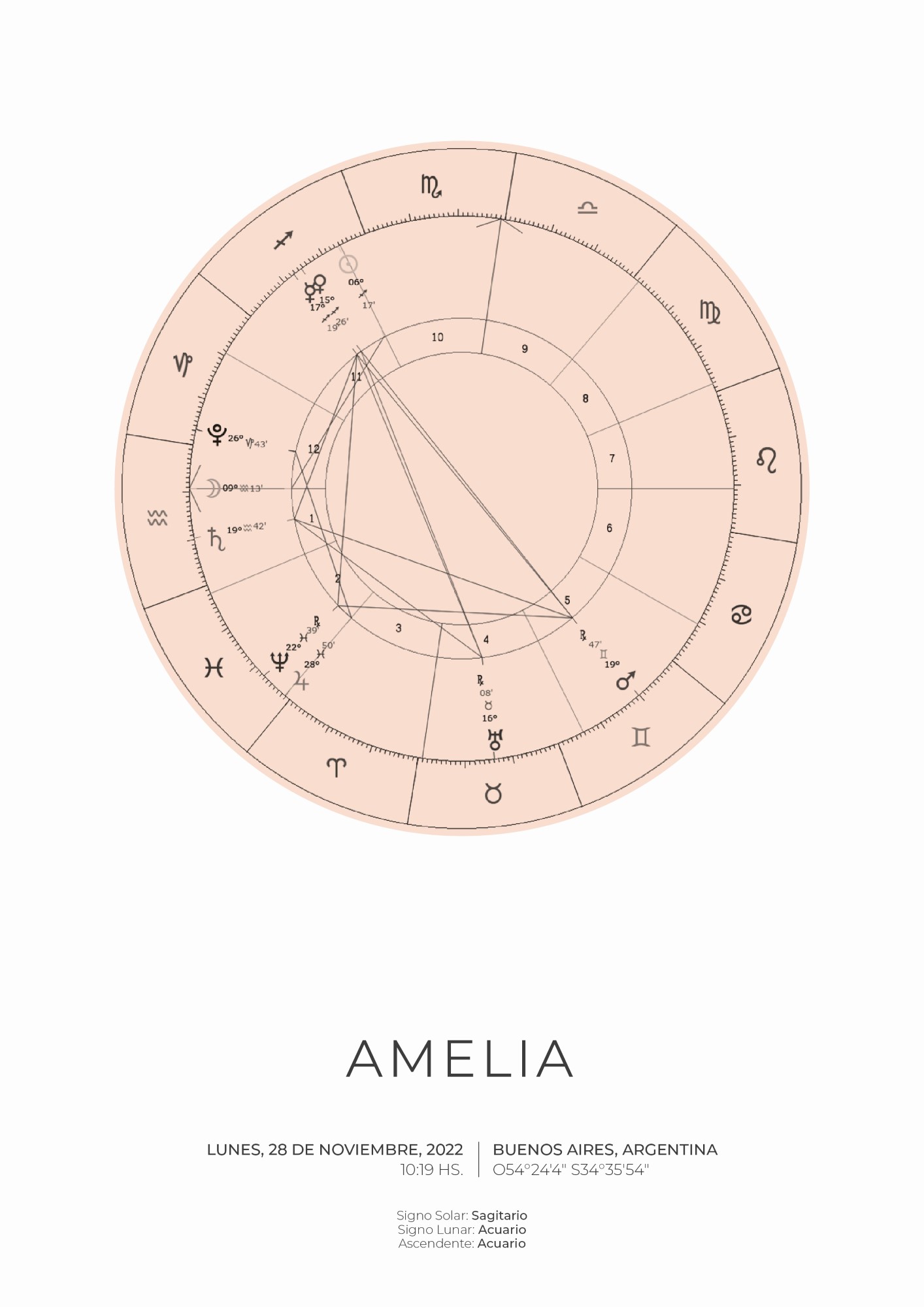 lamina_carta_astral_regalo_de_nacimiento_wild_baby (5)