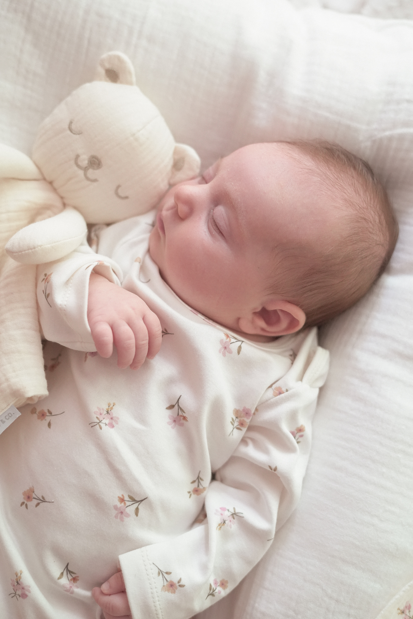 Pijamas y bolsas de dormir Wild Baby & Co.