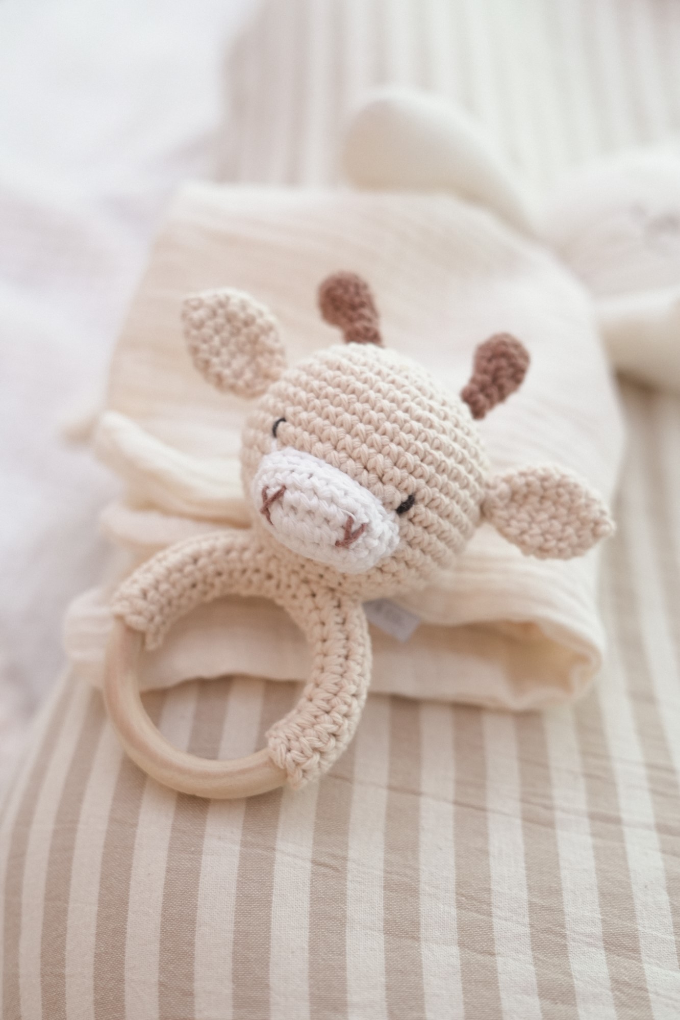 DSC01895 (Personalizado)